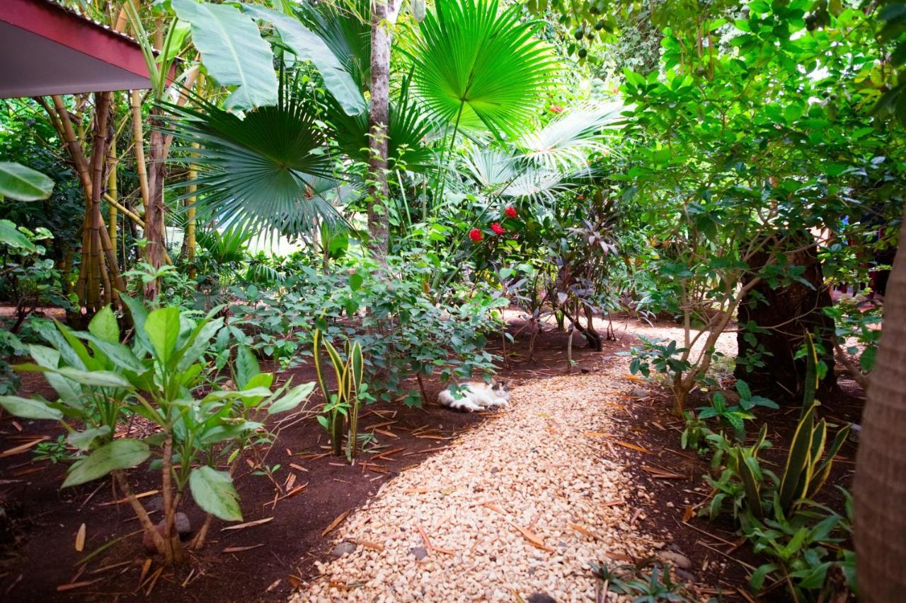 Appartamento Casa Smilin' Dog Tamarindo Esterno foto